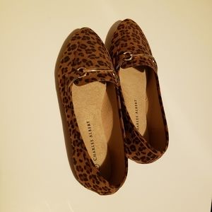Charles Albert Leopard Flat 6